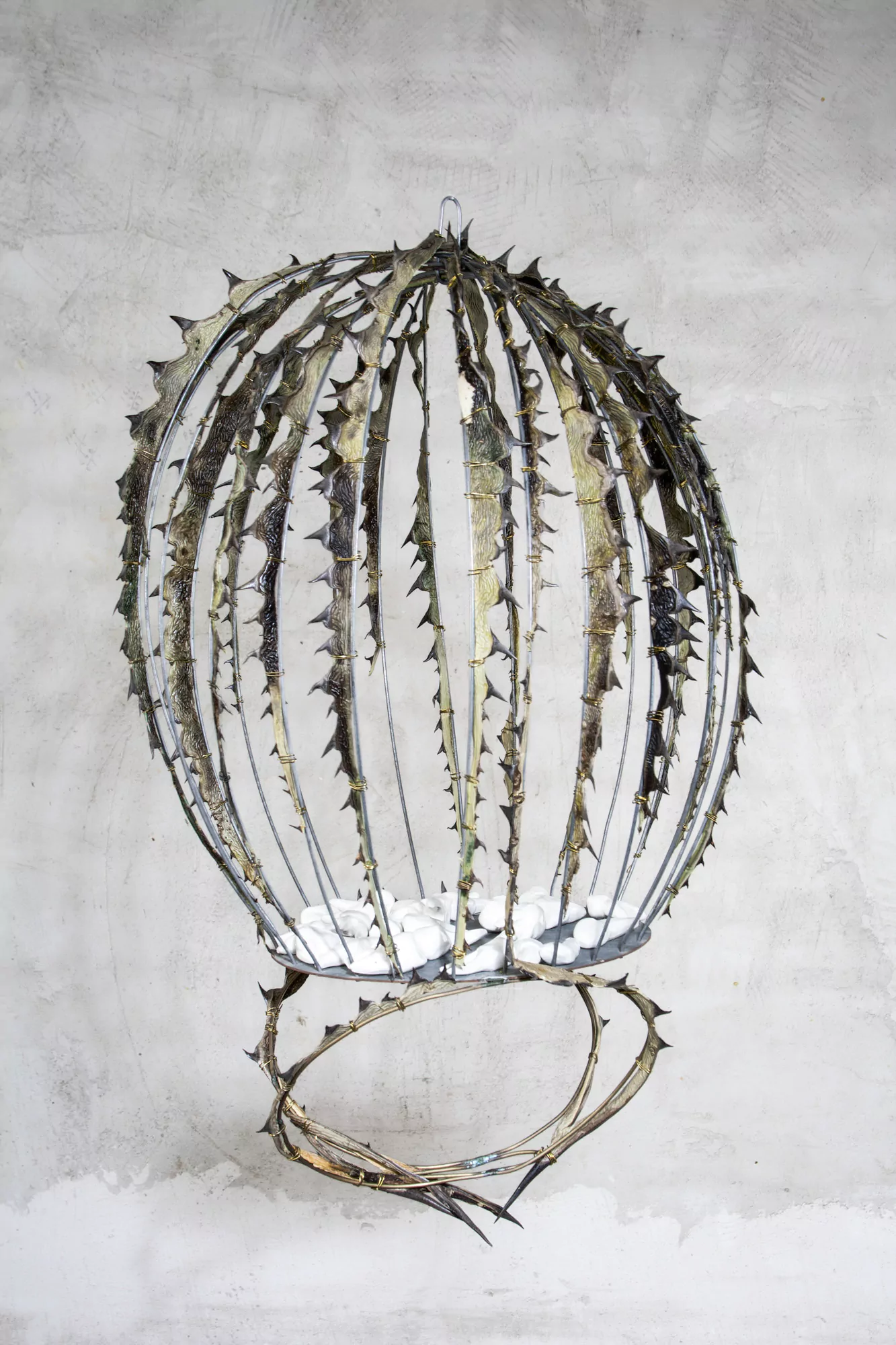 Arrancarse los dientes / Tore your teeth