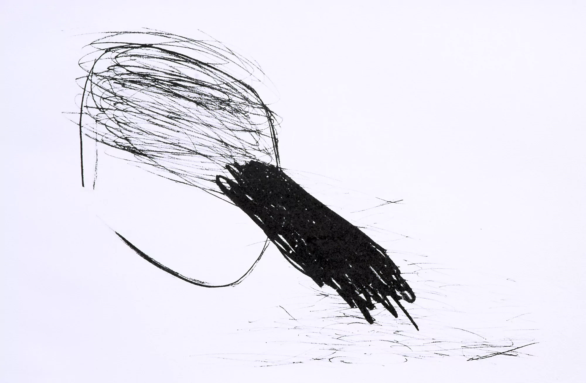 Luchador mentira/ Lying fighter