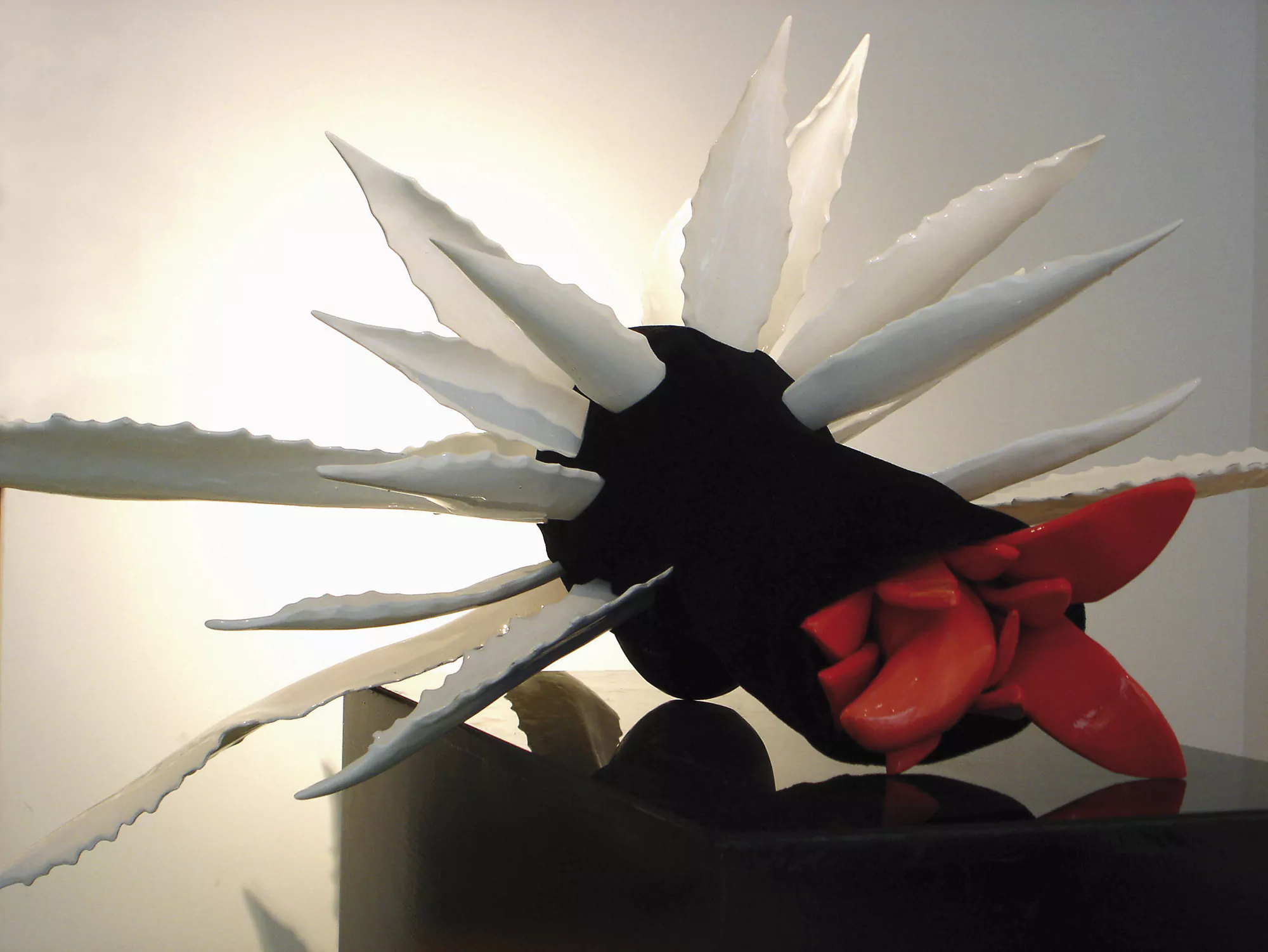 El vigor de los cabellos de Medusa decapitada / The vigor of the hair of decapitated Medusa