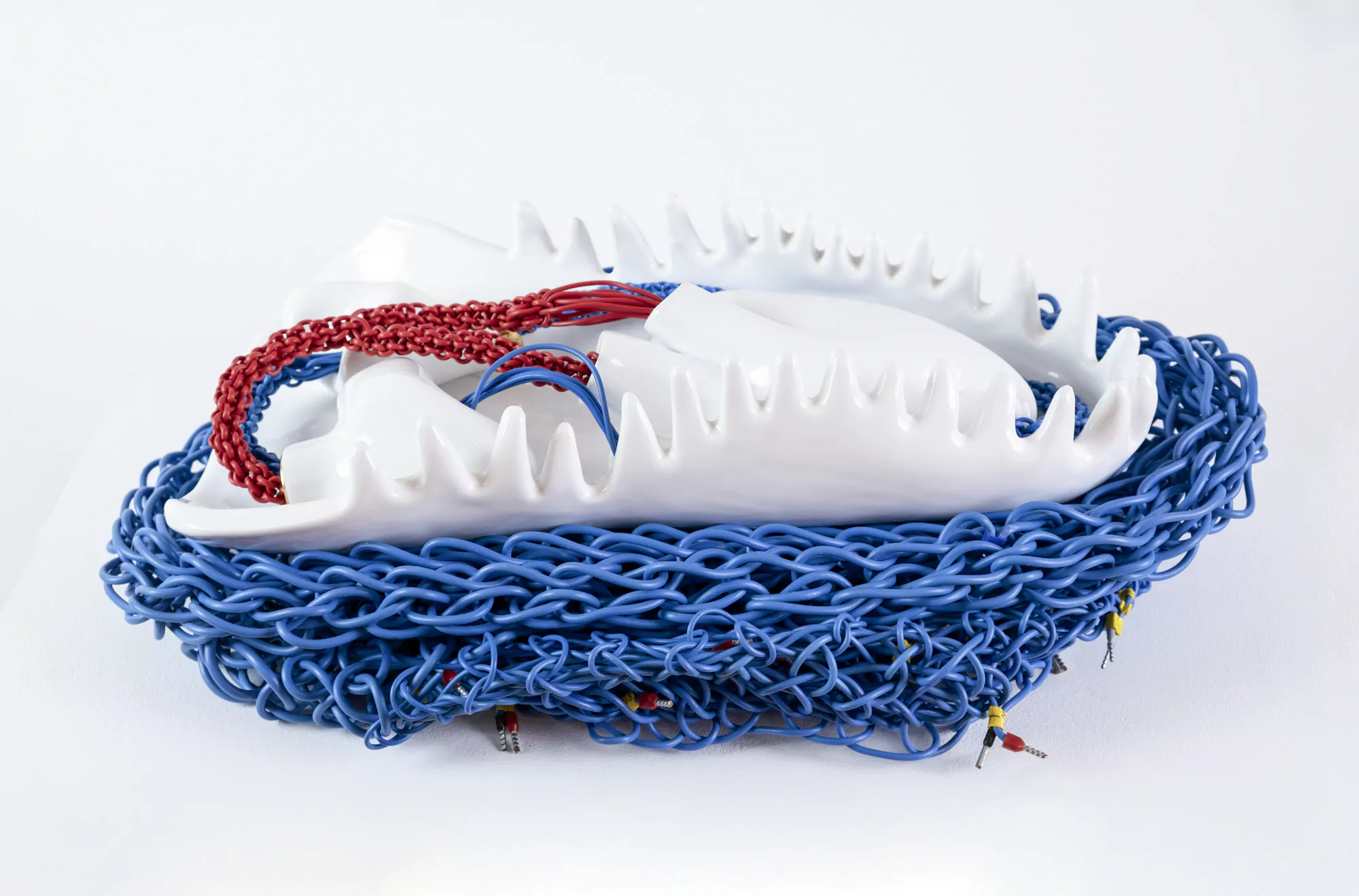 Impulsos y retornos/ Impulses and return