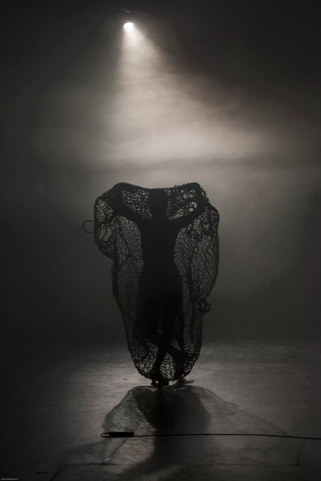 Sierpe / Serpent