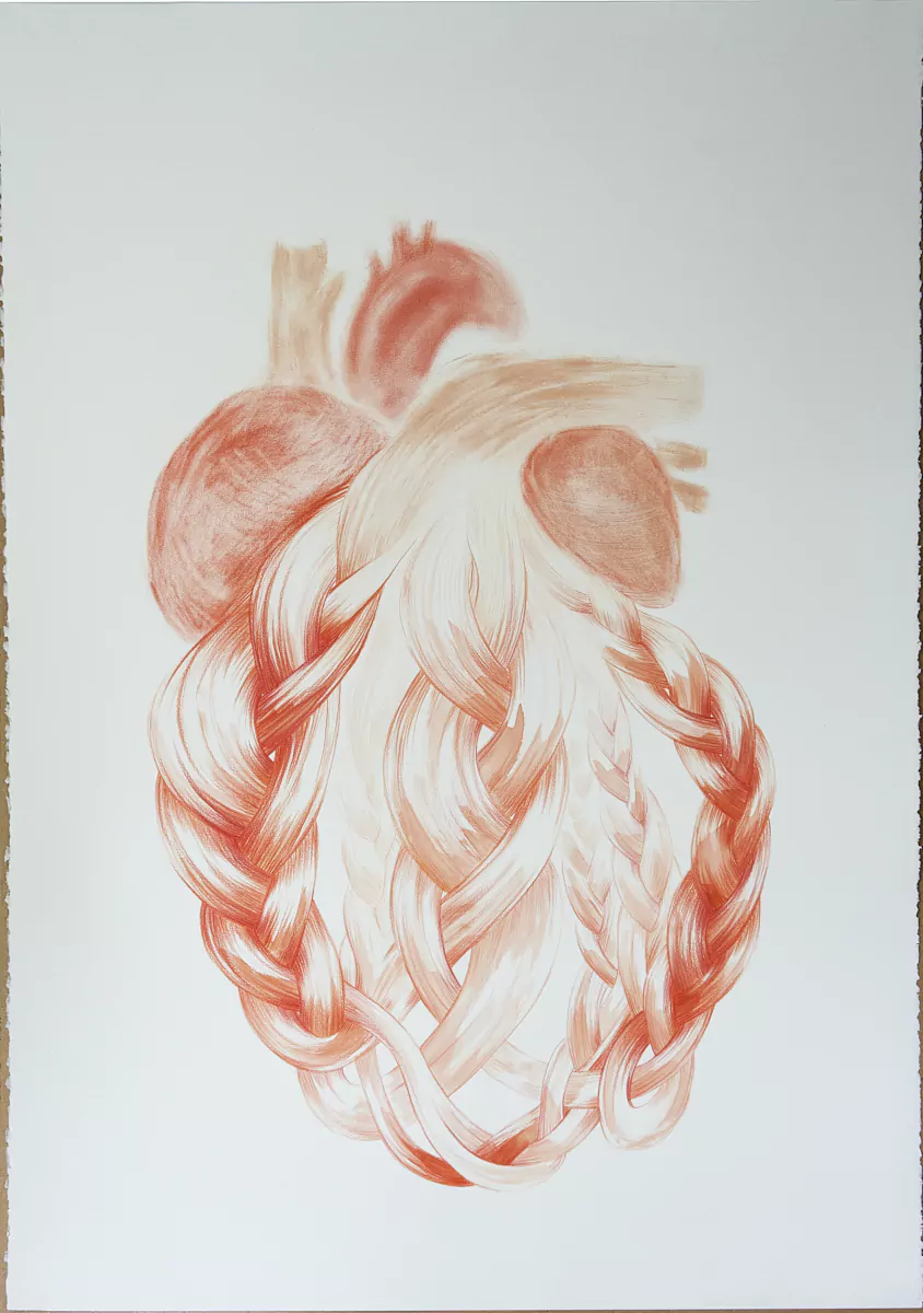 Amarre; corazón / Amarre; heart