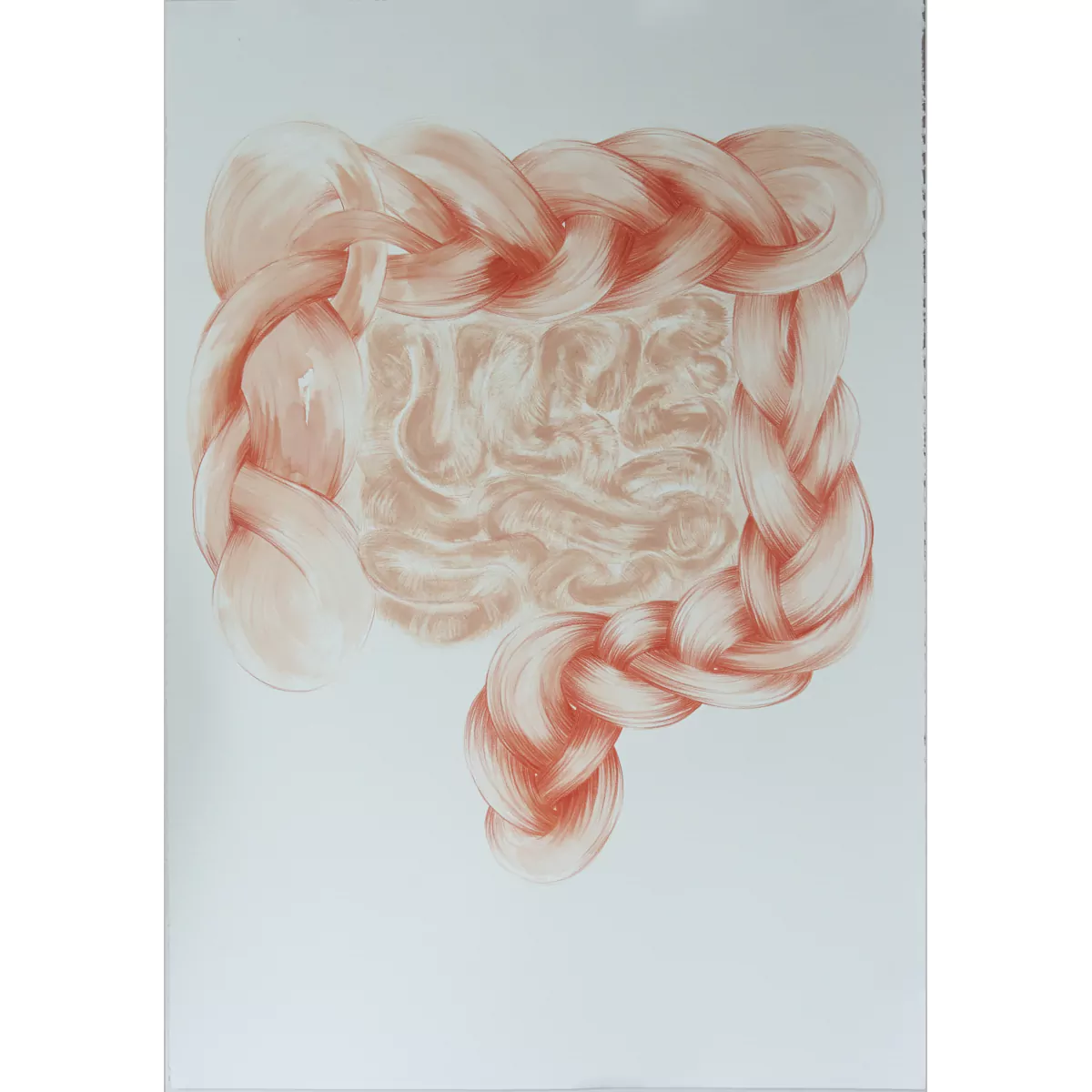 Amarre; intestino / Amarre; intestin