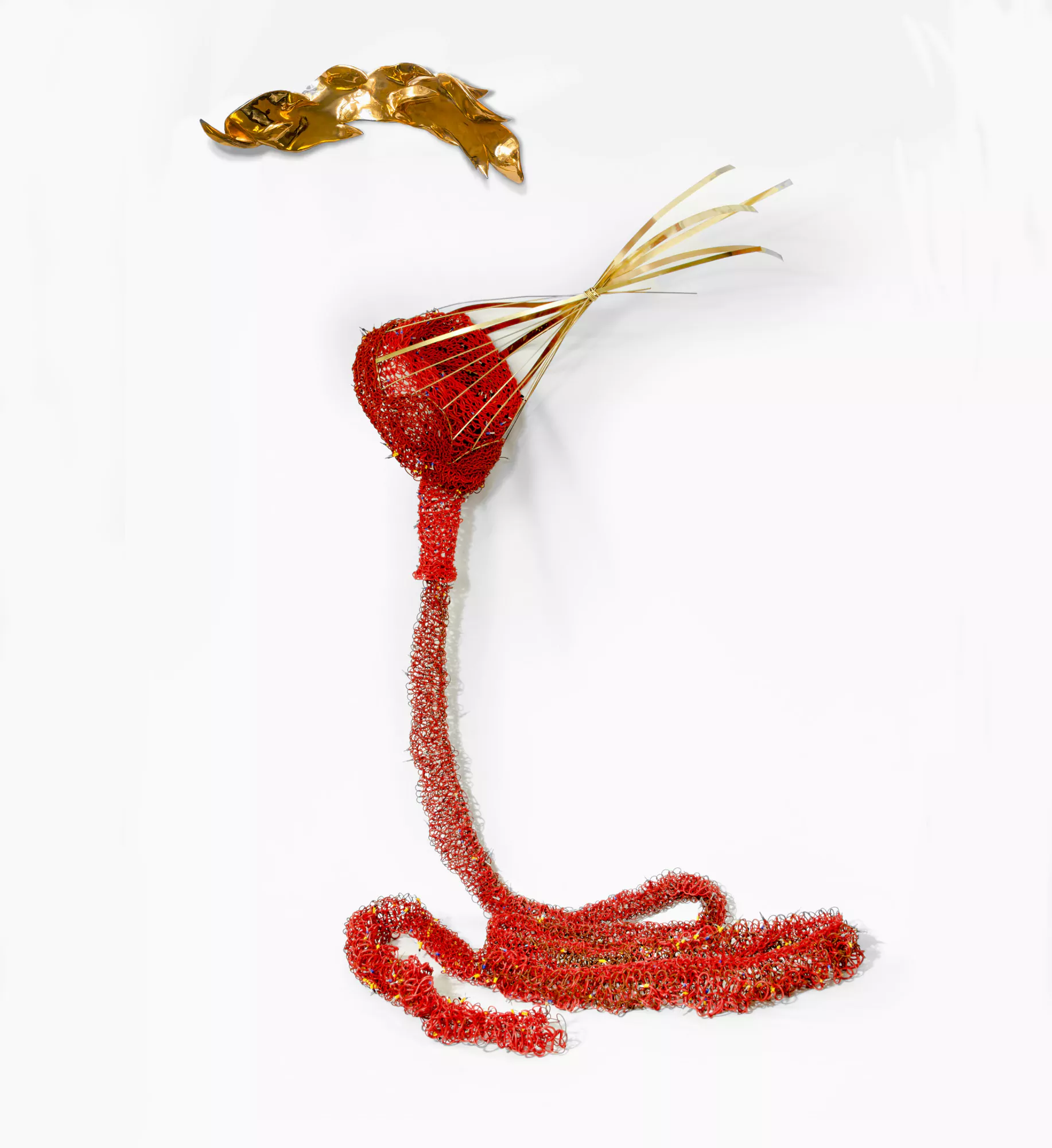 La Desollada / The Skinned