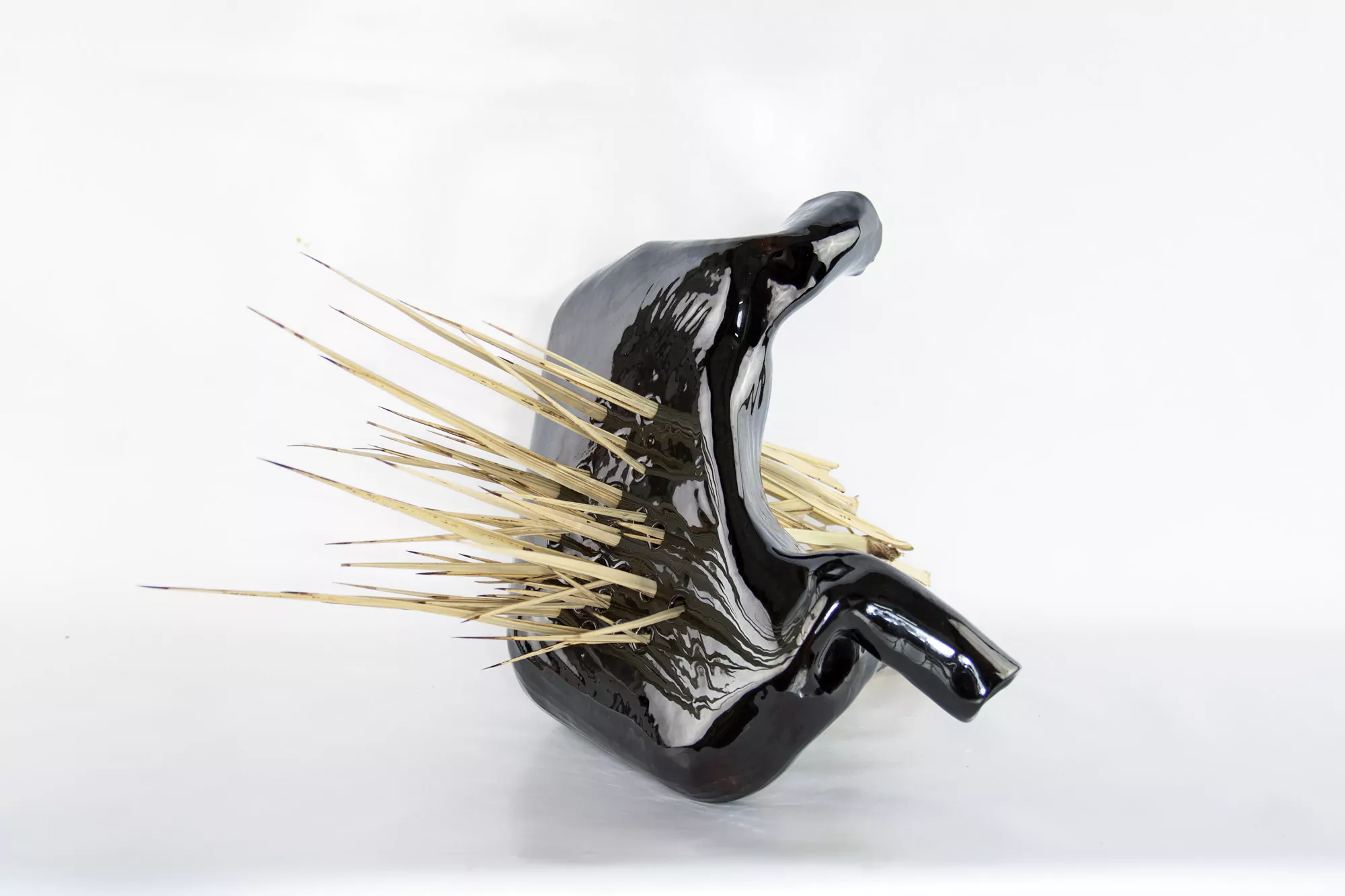 Riñón negro II/  Black kidney II