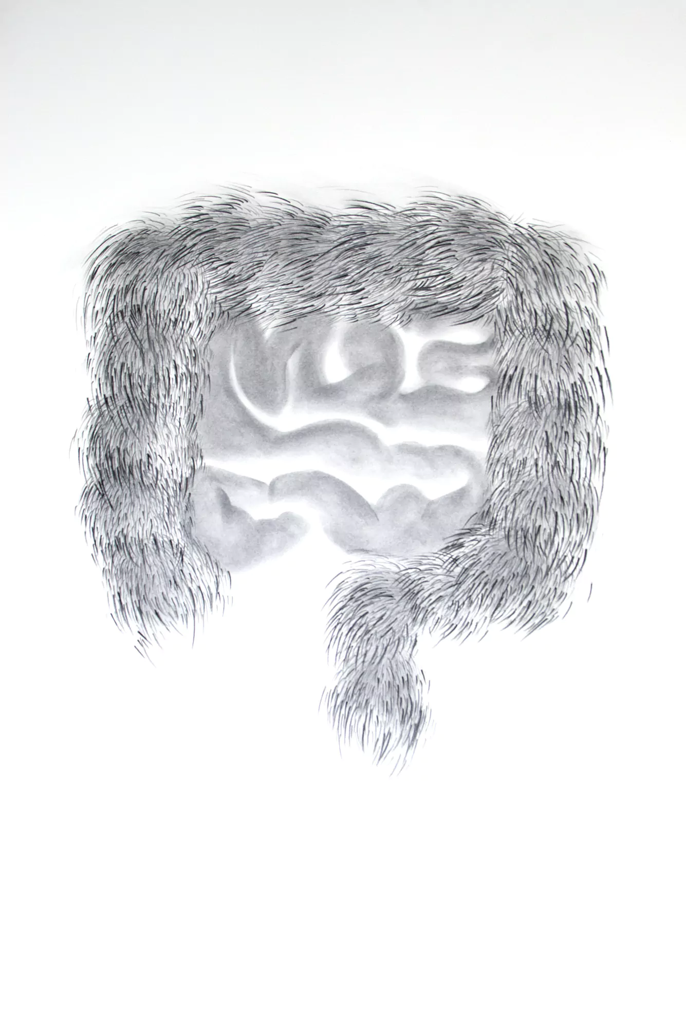 Intestino negro / Black intestine