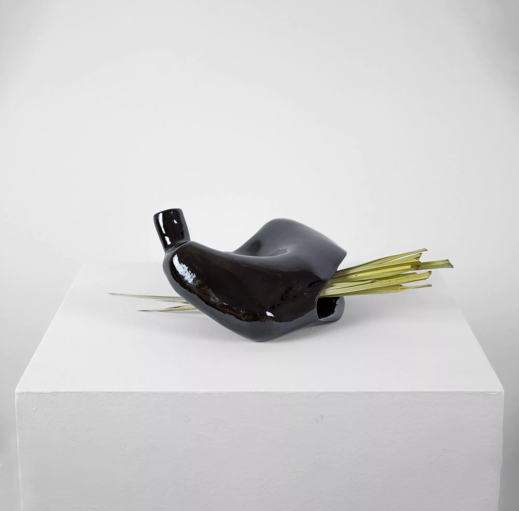 Entrañas negras / Black entrails