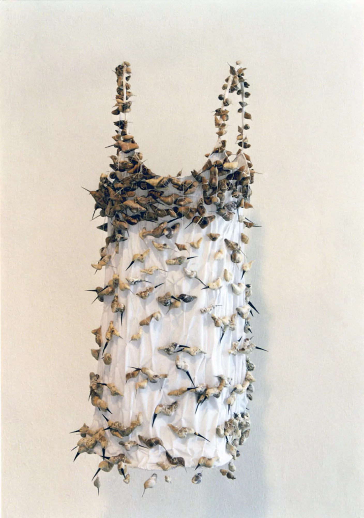 Camisón de colibríes / Hummingbird nightdress