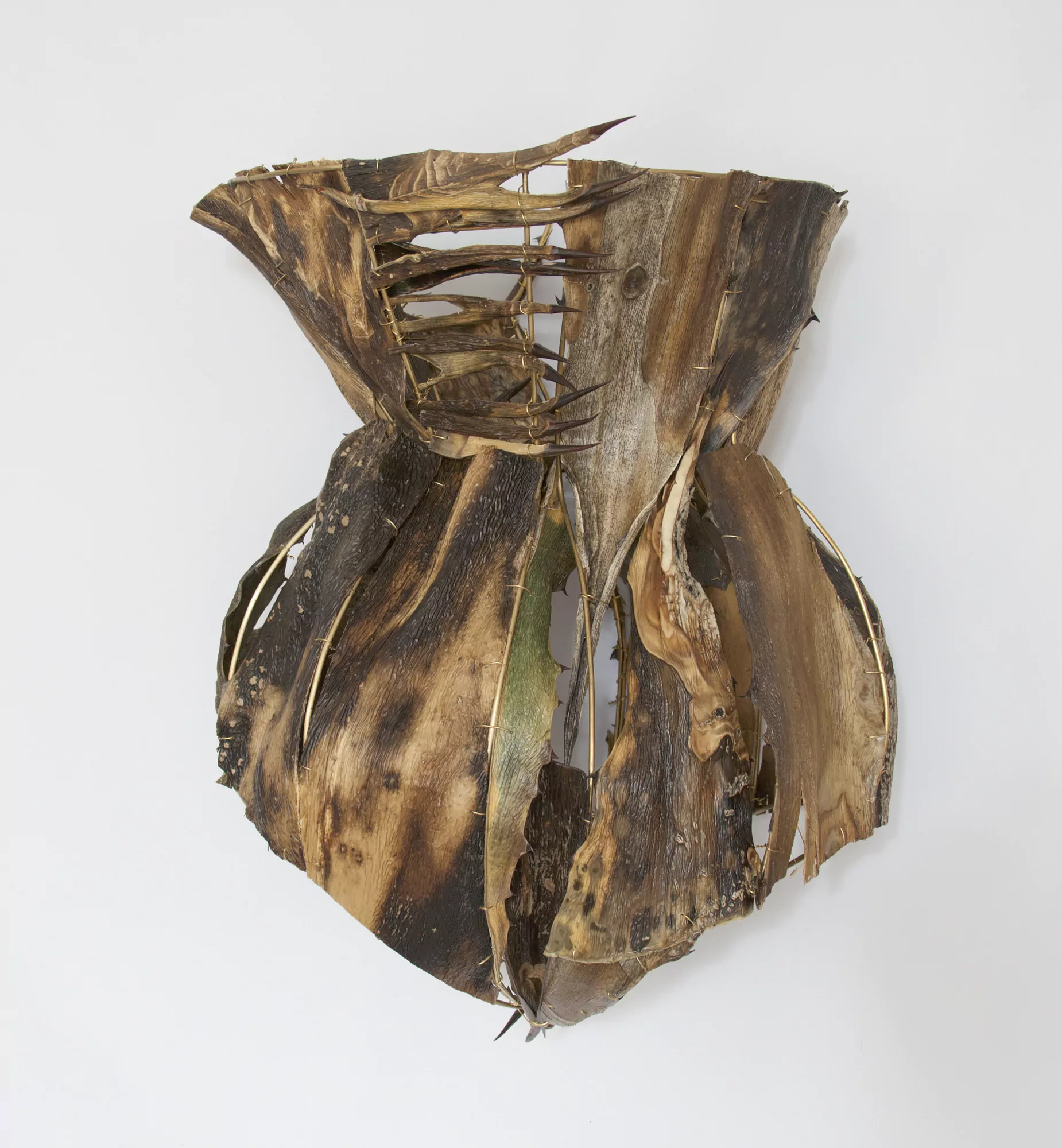 Corsé de agave / A agave corset
