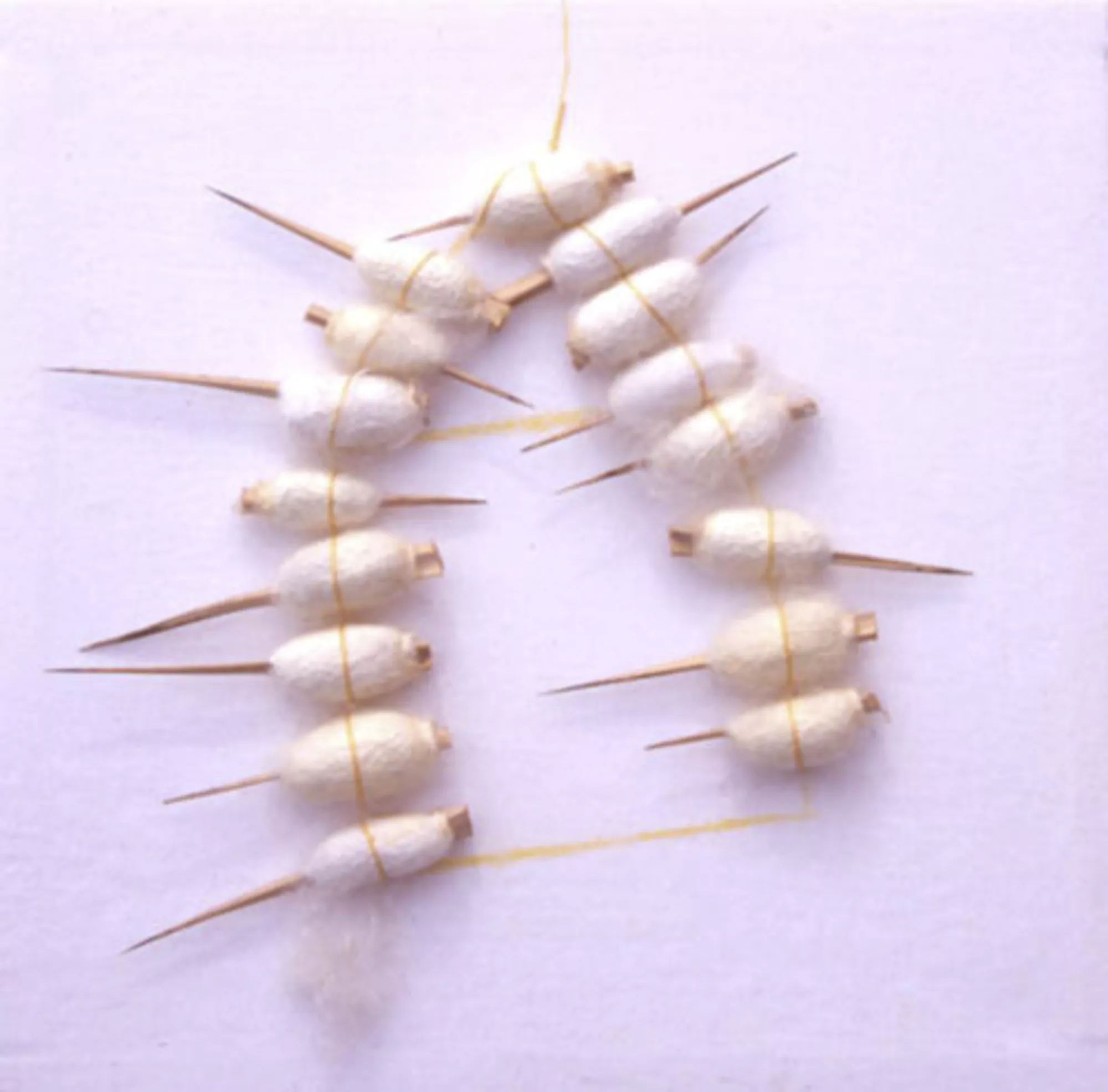 Yo no quiero esta casa / I don't want this house