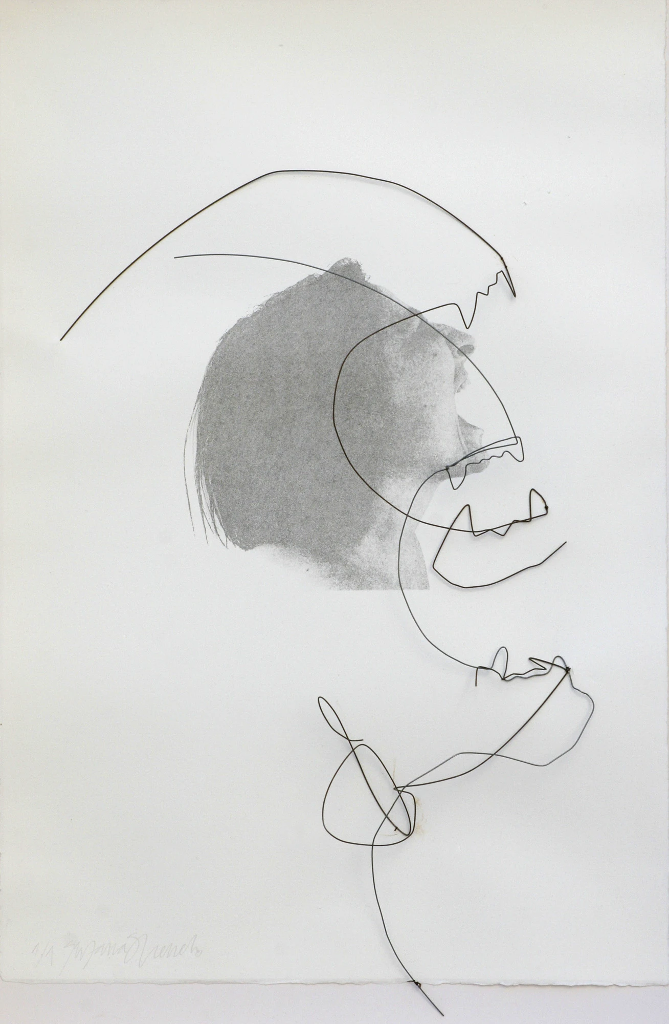 Die STÄRKEE; jaguar-guardián / Die STÄRKEE; jaguar custodian