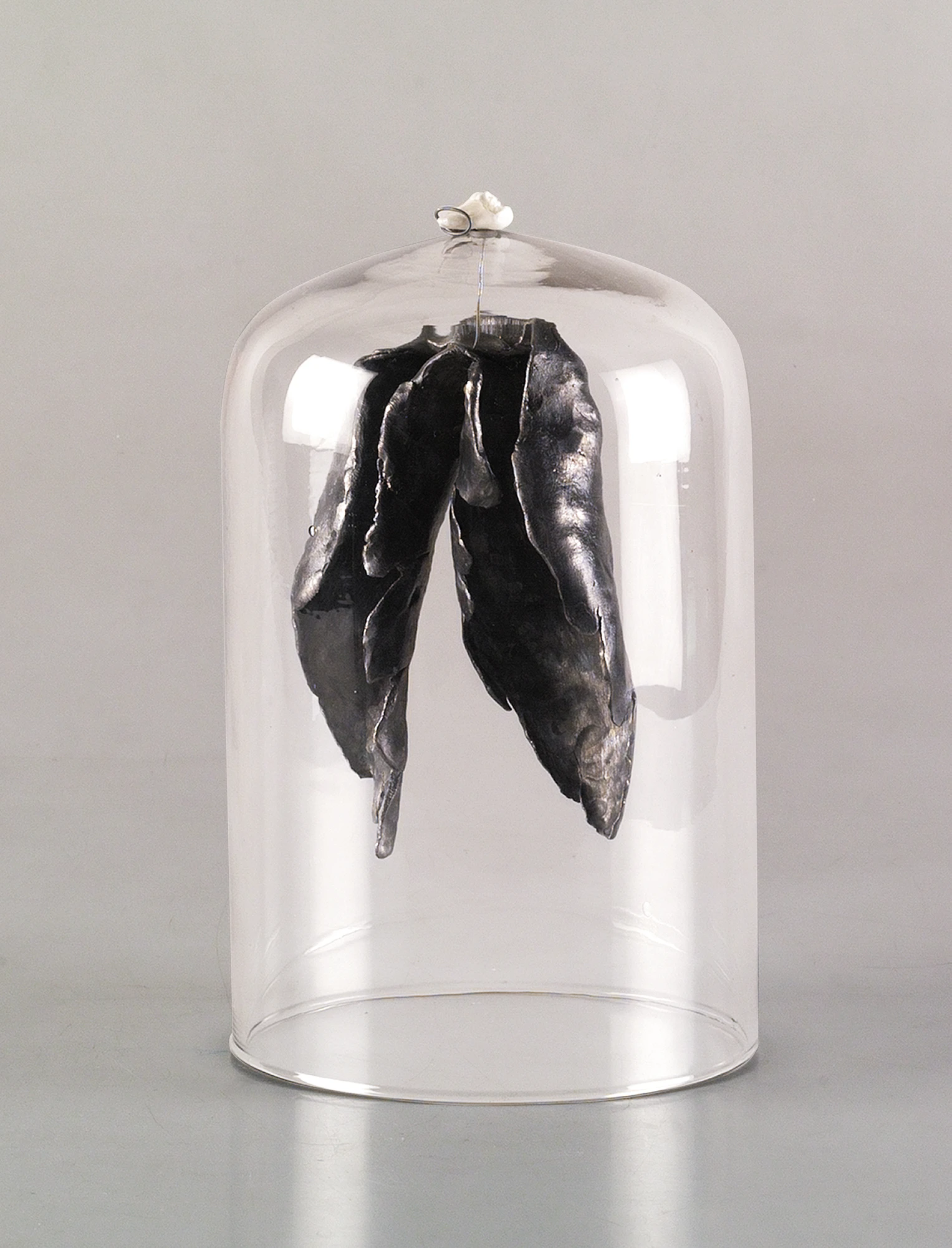 Alas y muela / Wings and grindstone