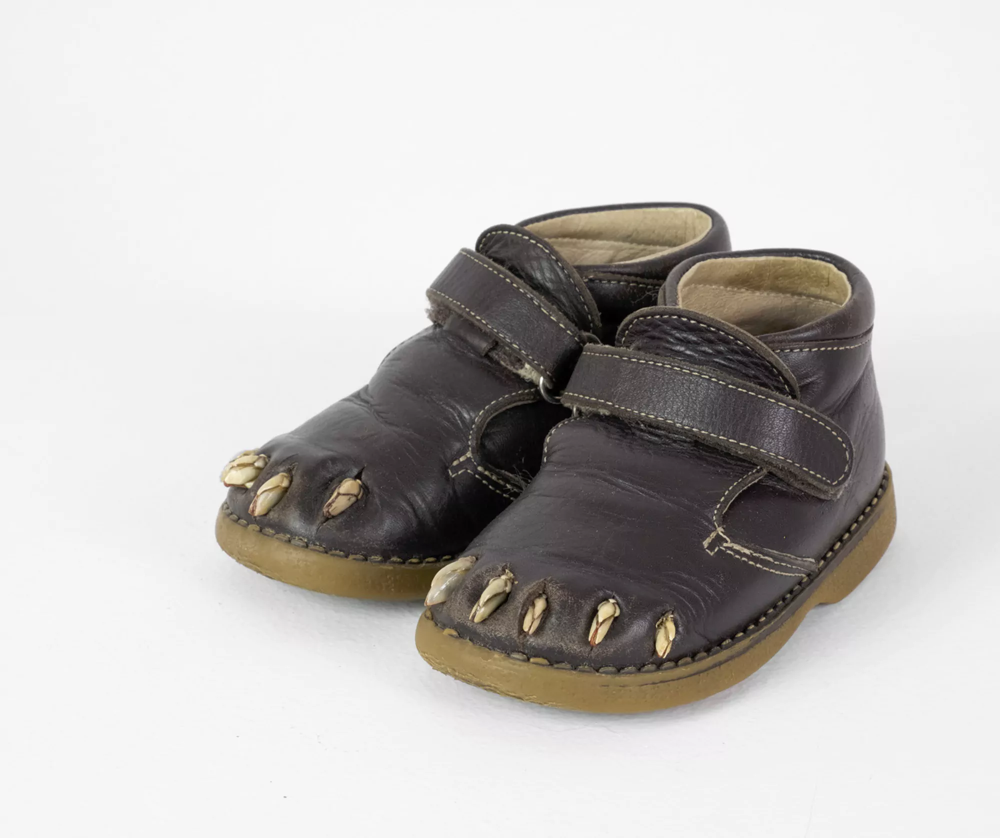 Las garras de Ulises / Ulises’s claws