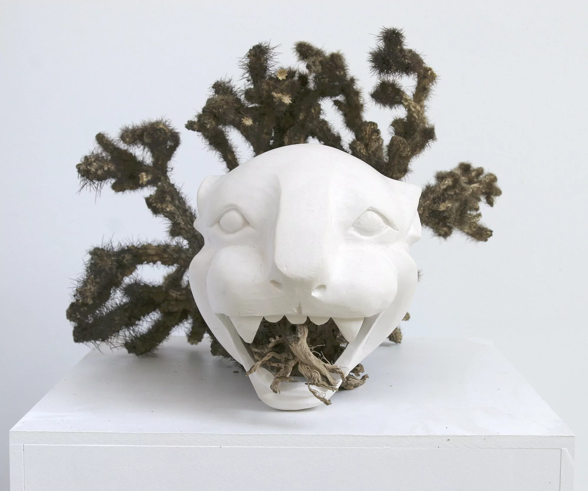 Ofrenda para el león blanco / Sacrifice for the white lion