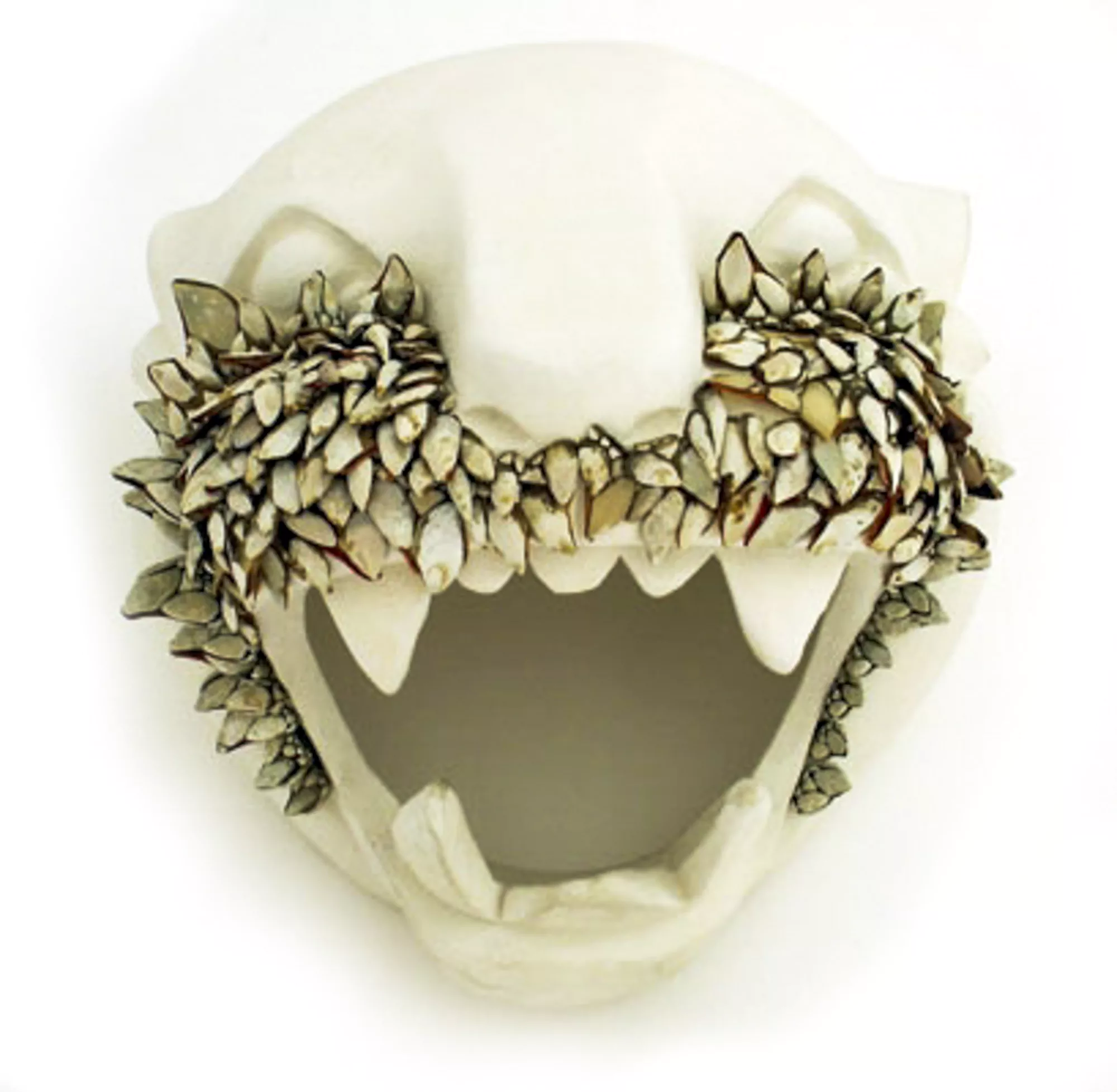 Ofrenda para el león blanco / Sacrifice for the white lion