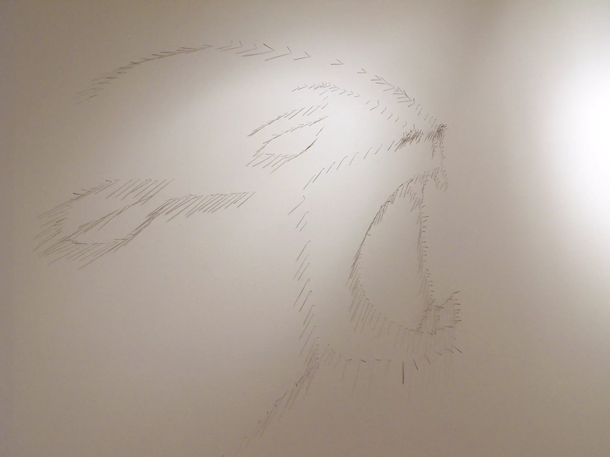 Jaguar-guardián / Jaguar custodian