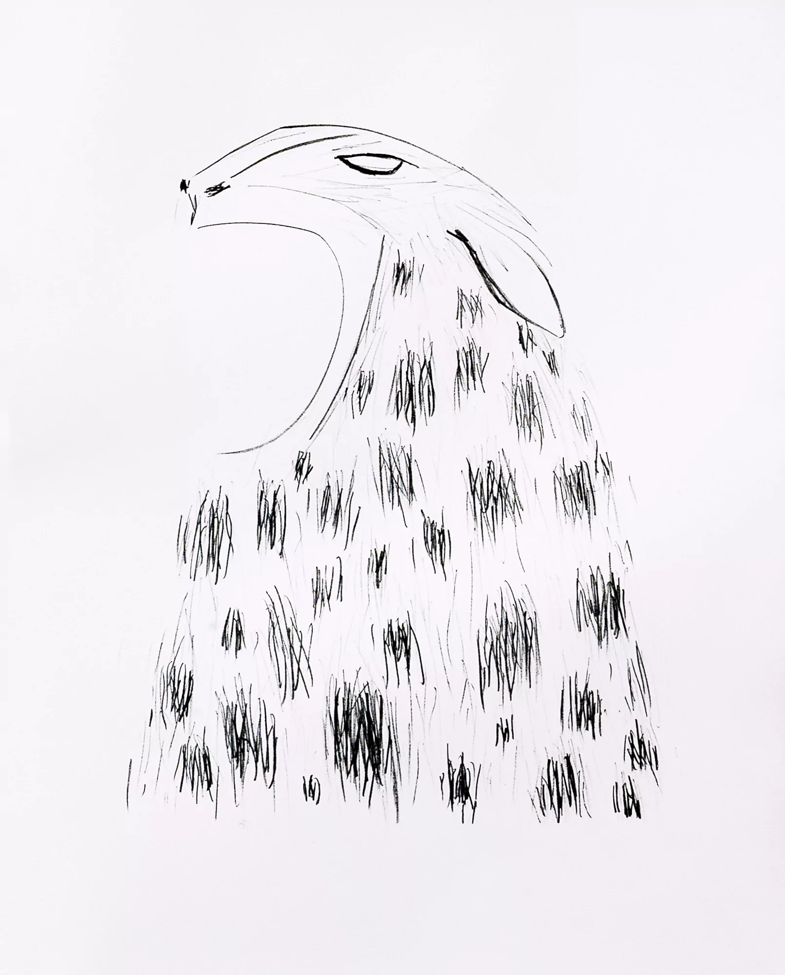 Doble piel / Double skin