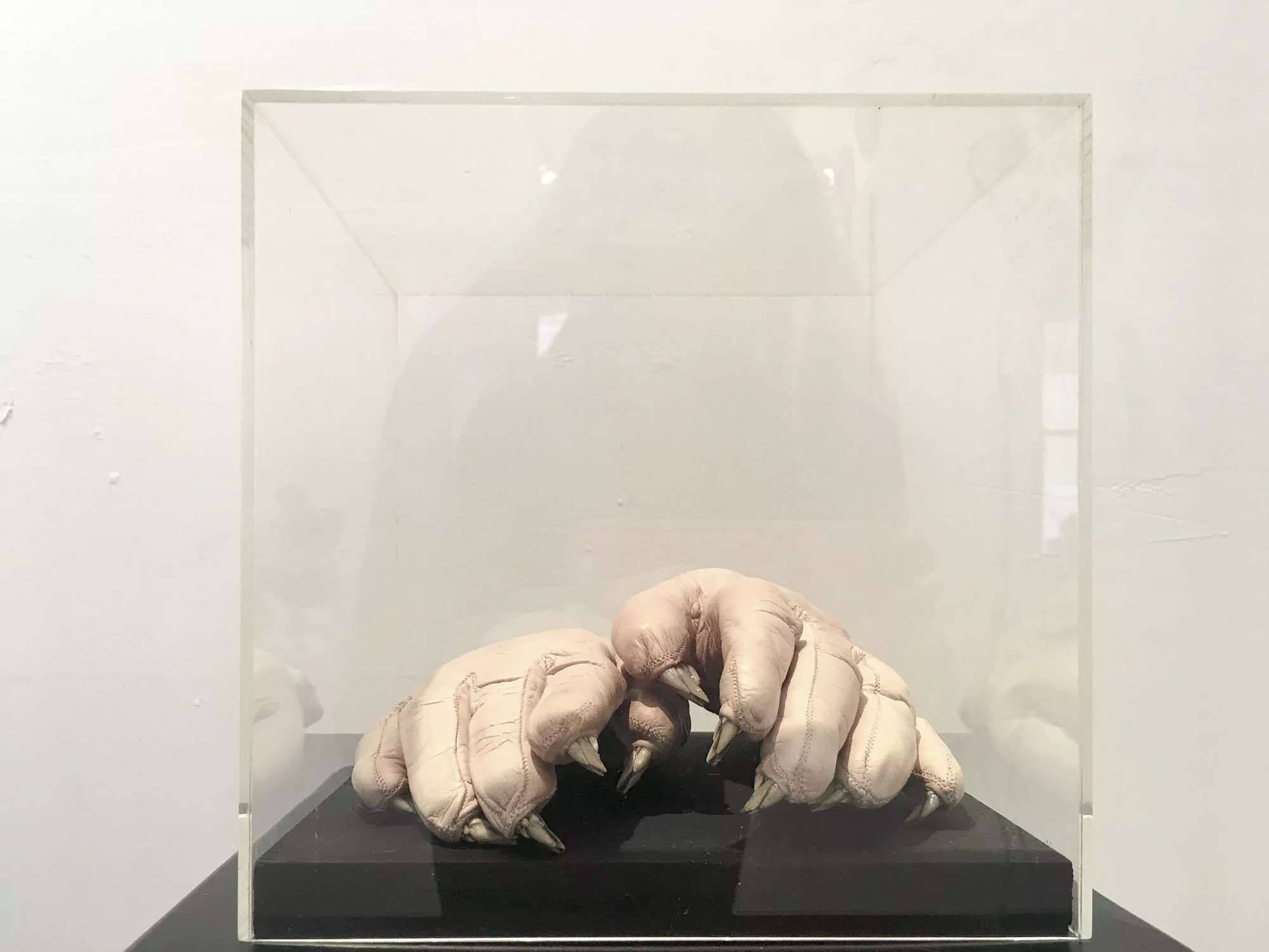 expo en 352 Thomas Jaeckel
